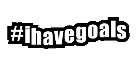 AgiNotes aginotes ihavegoals Sticker