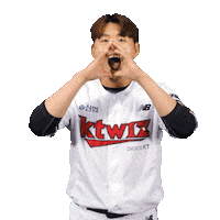 Baseball Sticker by kt wiz