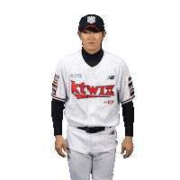 Baseball Sticker by kt wiz