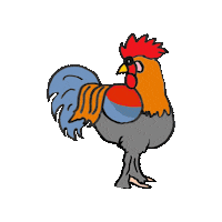 Rooster Gallo Sticker