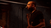GIF by Polyvinyl Records