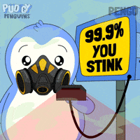 Penguin You Suck GIF by Pudgy Penguins