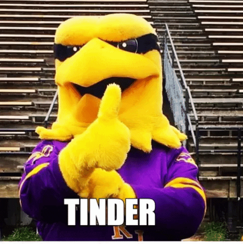 Goldenhawks GIF by Wilfrid Laurier University