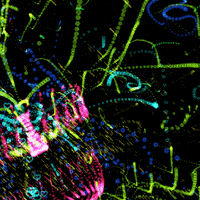 Art Enhance GIF by The NGB