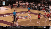 ncaasports ncaa volleyball illinois ncaavb GIF