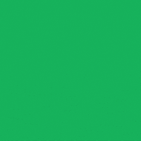 Digital art gif. Colorful cartoon stickers slap themselves onto a green background. The three stickers say, "Our futures," "Our bodies," and "Our abortions."