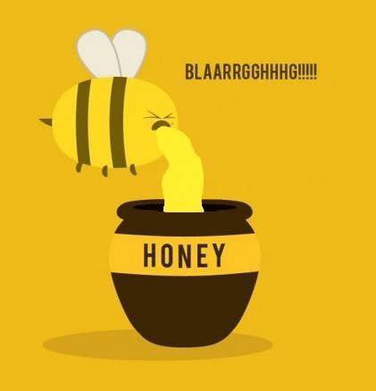 honey bees GIF