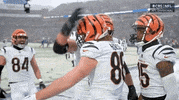 Nfl Playoffs Football GIF by NFL