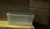 Cats If I Fits I Sits GIF