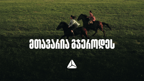თიბისი GIF by TBC Bank