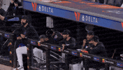 David Peterson Laughing GIF by New York Mets