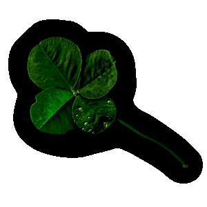 earthly delights four leaf clover Sticker by Meggan Joy