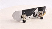 Tony Hawk Goat GIF by outofluck_club