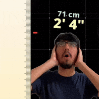 2' 4"