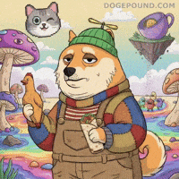 Unimpressed Shiba Inu GIF by Doge Pound