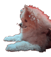 Hungry Puppy Sticker by Munjo Munjo