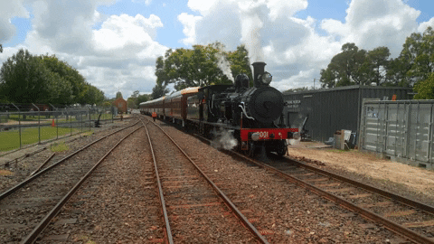 Steam Train GIF by Transport Heritage NSW