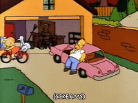 homer simpson GIF