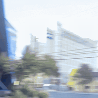 Skool GIF by TomsProject