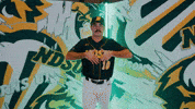 Baseball Bison GIF by NDSU Athletics