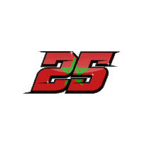 driving fia world touring car cup Sticker by FIA WTCR