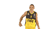 Ewe Baskets Basketball Sticker by EWE Baskets Oldenburg