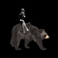 notoriousnoochco bear medal phone call GIF