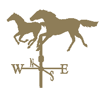 Horses Nzb Sticker by New Zealand Bloodstock