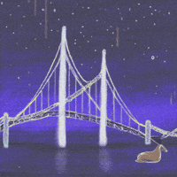 Crypto Feeling GIF