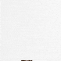 Happy Mood GIF