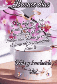 Preparado Para Ti GIF by Murcianys LLC