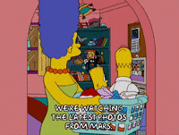 homer simpson episode 20 GIF