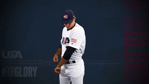 Pro GIF by USA Baseball