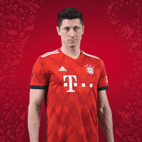 robert lewandowski christmas GIF by FC Bayern Munich