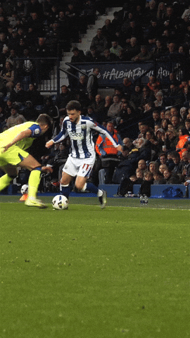 Magic Mike Nutmeg GIF by West Bromwich Albion