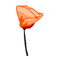 California Poppies Sticker by btwsam