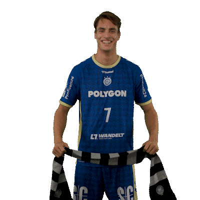 Handball Koester Sticker by DAIKIN HBL