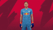 Save Peter Gulacsi GIF by RB Leipzig