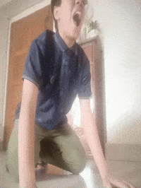 Bivoris GIF
