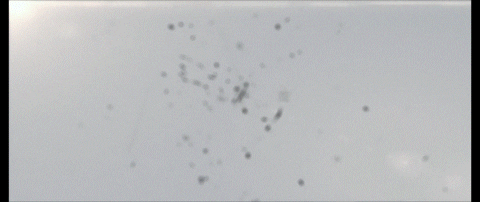 Nasa Coming Together GIF by Goldmaster