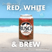 4Th Of July Busch Light GIF by Busch Beer