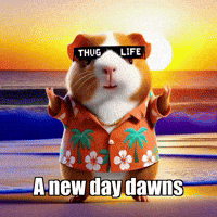 GIF by Guinea Gambino