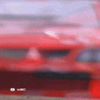 Motorsport Evo GIF by FIA World Rally Championship