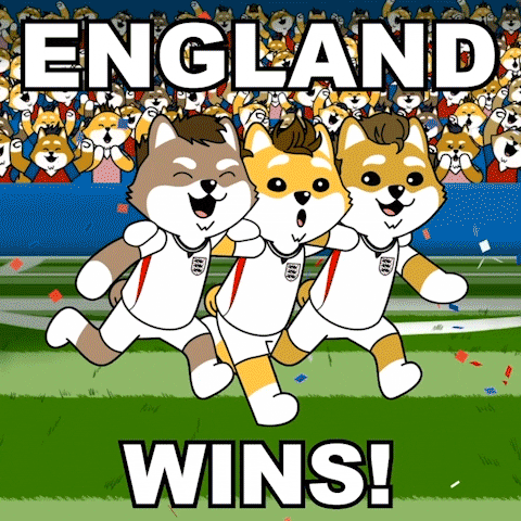 Winning Fifa World Cup GIF by Dogelon Mars