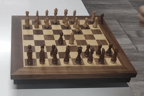 CarlosPendas giphyupload chess GIF