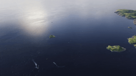 SirNuno giphygifmaker world of warships GIF