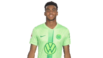 Germany Win Sticker by VfL Wolfsburg