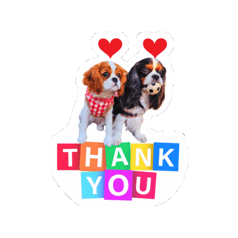Cavalierkingcharlesspaniel Love Sticker