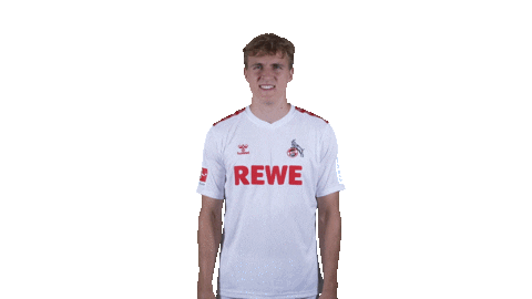 1 Fc Cologne Football Sticker by 1. FC Köln