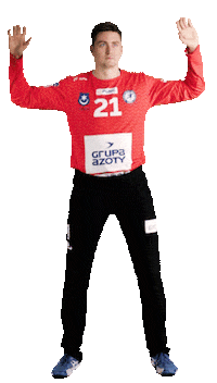 pgnigsuperliga sport ball handball save Sticker